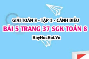 Giải bài 5 trang 37 Toán 8 Tập 1 SGK Cánh Diều